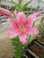 [4534 VH10 Monferrato No02.JPG]